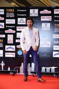 SIIMA 2016 Awards Photos - 4 of 25