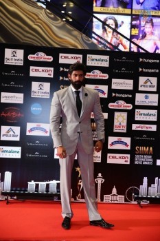 SIIMA 2016 Awards Photos - 8 of 25