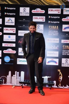 SIIMA 2016 Awards Photos - 30 of 25