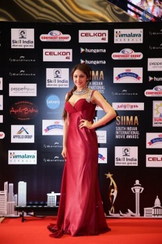 SIIMA 2016 Awards Photos - 13 of 25