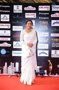 SIIMA 2016 Awards Photos - 36 of 25