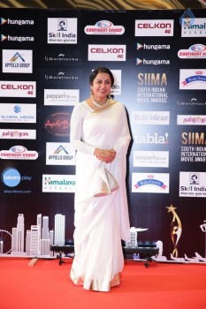 SIIMA 2016 Awards Photos - 15 of 25