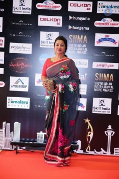SIIMA 2016 Awards Photos - 21 of 25