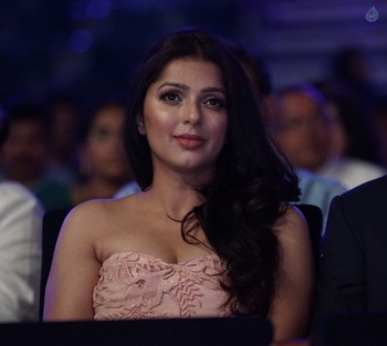 SIIMA Awards 2015 Photos - 10 of 58