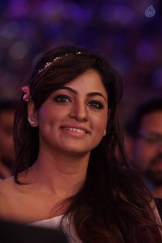 SIIMA Awards 2015 Photos - 21 of 58