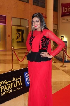 SIIMA Awards 2015 Red Carpet Photos - 10 of 35