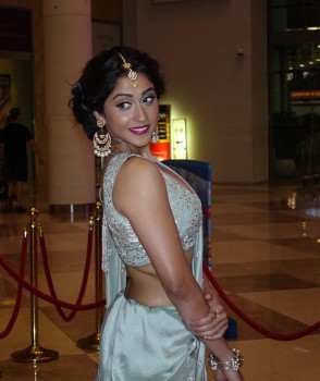 SIIMA Awards 2015 Red Carpet Photos - 15 of 35