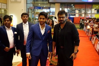 SIIMA Awards 2015 Red Carpet Photos - 21 of 35