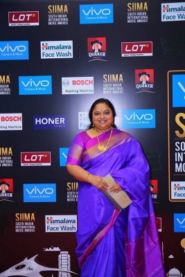 SIIMA Awards 2017 Day 2 - 8 of 31