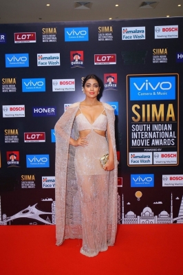 SIIMA Awards 2017 Day 2 - 9 of 31