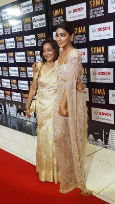 SIIMA Awards 2017 Day 2 - 20 of 31