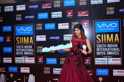 SIIMA Awards 2017 Day 2 - 22 of 31