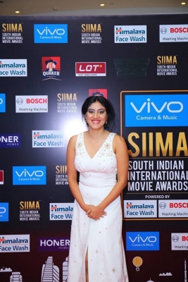 SIIMA Awards 2017 Day 2 - 24 of 31