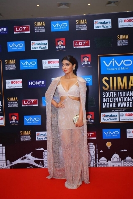 SIIMA Awards 2017 Day 2 - 27 of 31