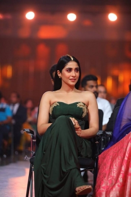 SIIMA Awards 2017 Pics - 14 of 36