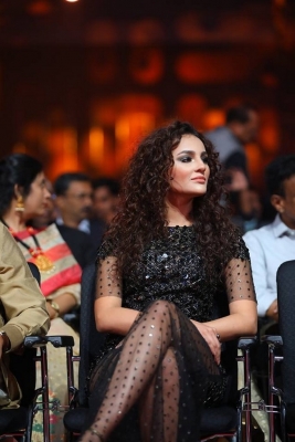 SIIMA Awards 2017 Pics - 30 of 36