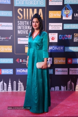 SIIMA Awards 2018 Day 2 - 20 of 46