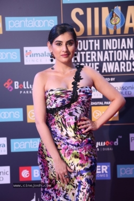 SIIMA Awards 2018 Day 2 Red Carpet - 53 of 59