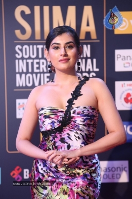 SIIMA Awards 2018 Day 2 Red Carpet - 56 of 59