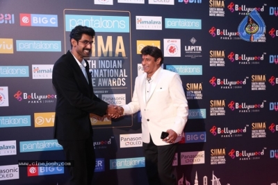 SIIMA Awards 2018 Day 2 Red Carpet Set 2 - 12 of 25