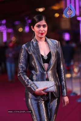 Siima Awards 2018 Red Carpet Day 01 - 42 of 102