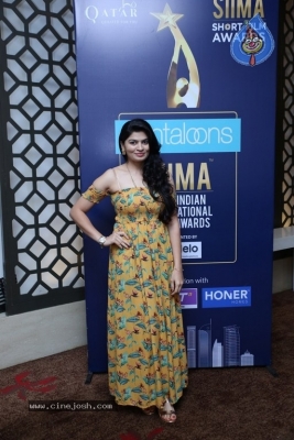 SIIMA Awards 2019 Curtain Raiser Event - 31 of 53