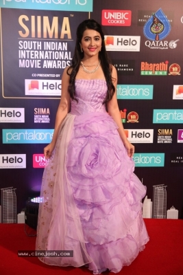 SIIMA Awards 2019 Day2 - 27 of 73