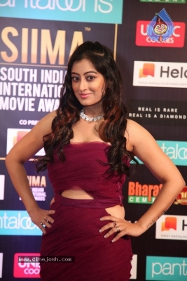 SIIMA Awards 2019 Day2 - 33 of 73