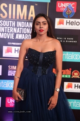 SIIMA Awards 2019 Day2 - 46 of 73