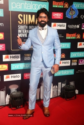 SIIMA Awards 2019 Photos Set 1 - 46 of 113