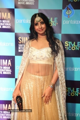 SIIMA Awards 2019 Photos Set 1 - 56 of 113