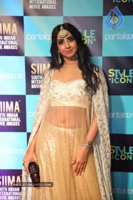 SIIMA Awards 2019 Photos Set 1 - 57 of 113