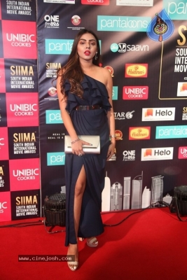 SIIMA Awards 2019 Photos Set 1 - 63 of 113