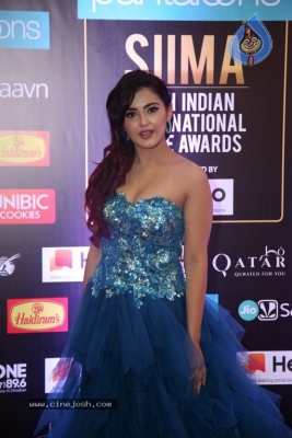 SIIMA Awards 2019 Photos Set 2 - 40 of 114