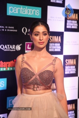 SIIMA Awards 2019 Photos Set 2 - 79 of 114