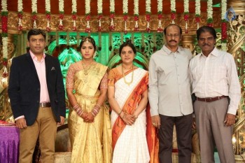 Siva Nageswara rao Daughter Wedding Photos 1 - 39 of 82