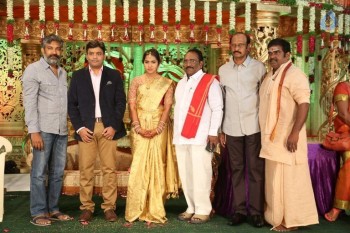 Siva Nageswara rao Daughter Wedding Photos 1 - 59 of 82