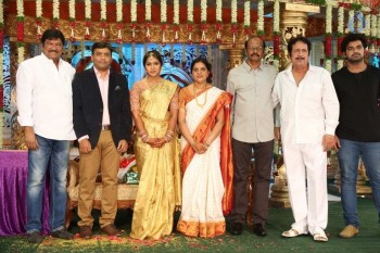 Siva Nageswara rao Daughter Wedding Photos 2 - 6 of 109