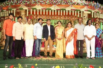 Siva Nageswara rao Daughter Wedding Photos 2 - 9 of 109