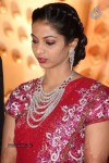 SMR Pruthviraj Lavish Reception Ceremony - 46 of 48