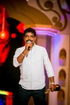 South Indian International Movie Awards 2014 - 32 of 255
