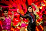 South Indian International Movie Awards 2014 - 49 of 255