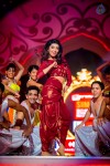 South Indian International Movie Awards 2014 - 126 of 255