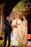South Indian International Movie Awards 2014 - 141 of 255