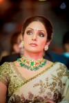 South Indian International Movie Awards 2014 - 186 of 255
