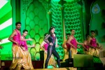 South Indian International Movie Awards 2014 - 195 of 255