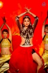 South Indian International Movie Awards 2014 - 199 of 255