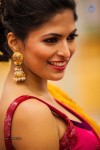 Stars at SIIMA 2013 Awards 02 - 35 of 204
