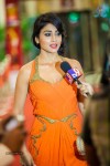 Stars at SIIMA 2013 Awards 01 - 47 of 100