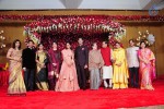 Subbarami Reddy Grand Son Wedding Reception at Delhi 01 - 6 of 246